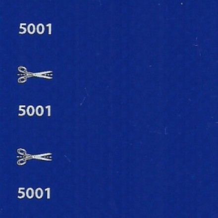 5001